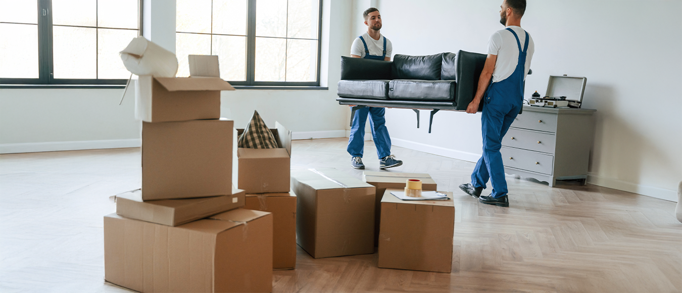 Lojistik & Taşımacılık