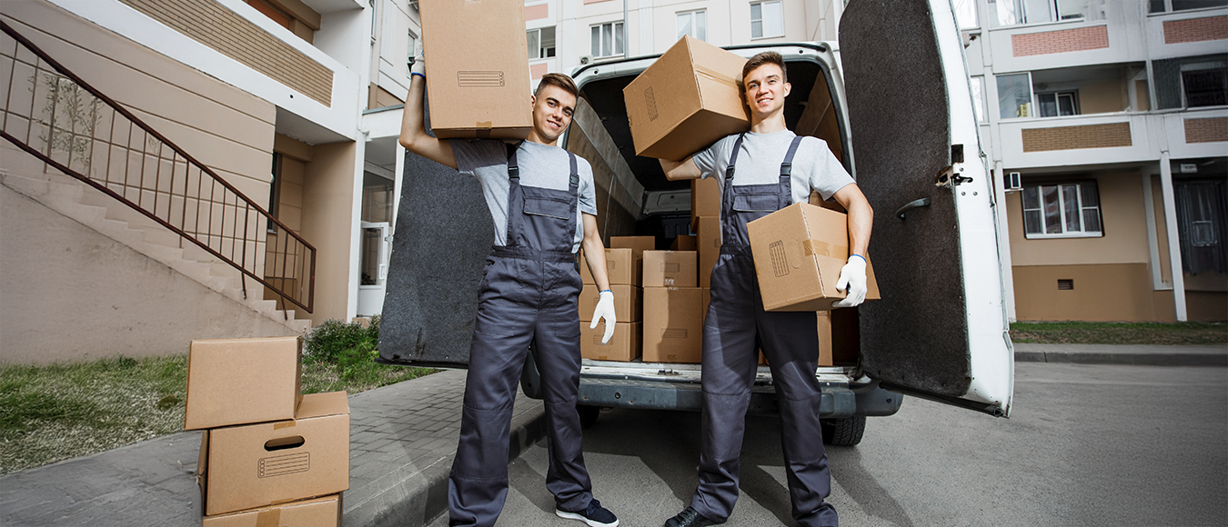 Lojistik & Taşımacılık